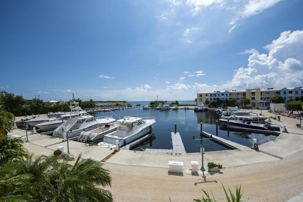 Licensed Mgr - 3/3.5 Modern Villa - Key Largo'S Premier Oceanfront Resort And Marina! ภายนอก รูปภาพ